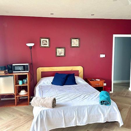 Shkyblue Suites 크리스트 처치 외부 사진
